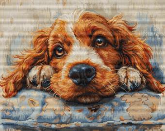 borduurpakket-BU5058-Luca-S-Cocker-Spaniel-kruissteek-borduurmateriaal-be