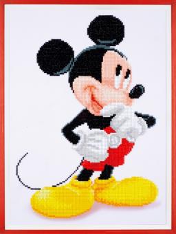 images/productimages/small/pn-0173564-1-500.jpg