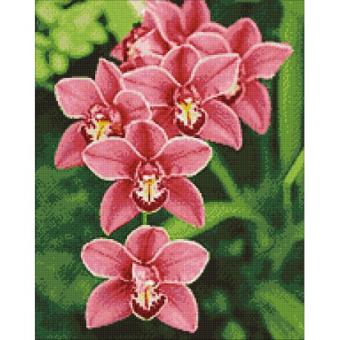 images/productimages/small/wd033b.jpg