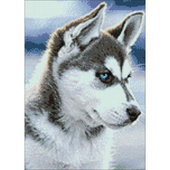 images/productimages/small/wd088b.jpg