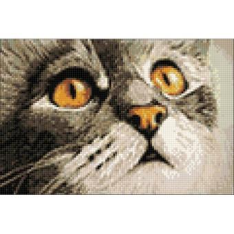 images/productimages/small/wd215-2.jpg