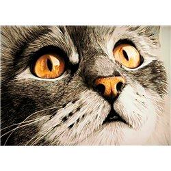 images/productimages/small/wd215.jpg