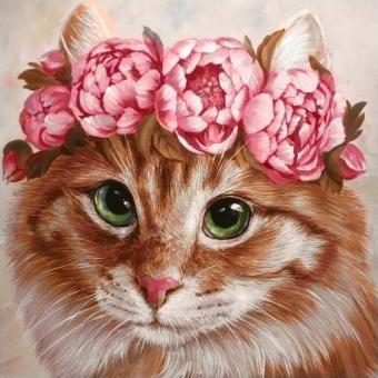 images/productimages/small/wd270.jpg